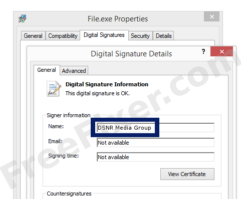 Screenshot of the DSNR Media Group certificate